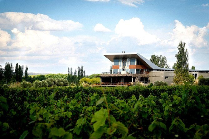 private-day-trip-mendoza-wineries-opt-airfare-from-buenos-aires