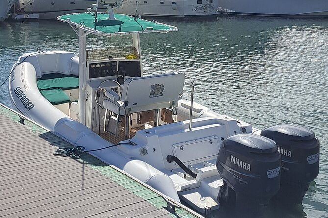 private-dolphin-and-whale-watching-tour-in-newport-beach