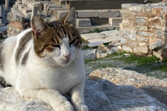 private-ephesus-and-artemis-temple-half-day-tour-on-time-return-2