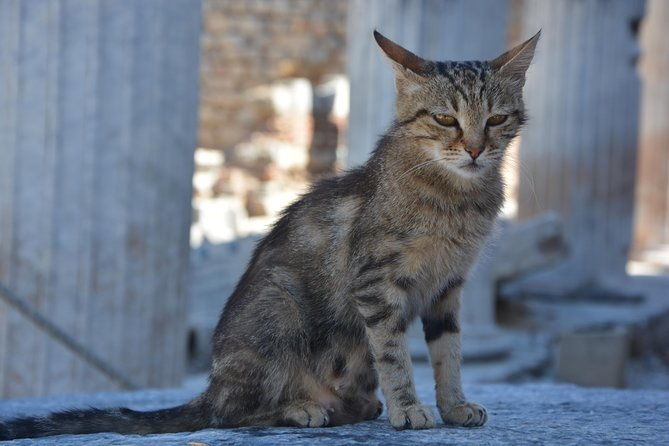 private-ephesus-shore-excursion