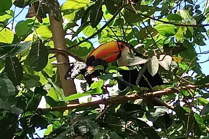 private-excursion-in-iguacu-falls-argentine-side