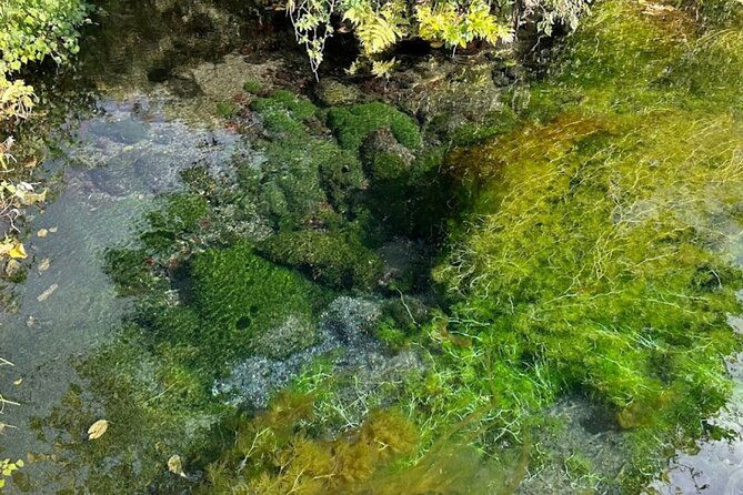 private-fuji-spring-water-alcohol-distillery-tour%ef%bc%88hotel-pick-up%ef%bc%89