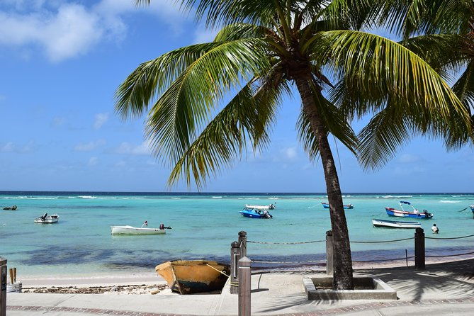 private-full-day-barbados-excursion-with-entrance-fee-discounts