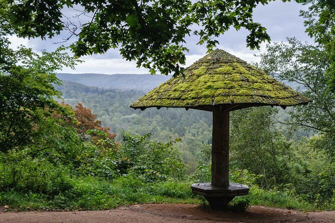private-full-day-hiking-tour-in-sigulda-and-gauja-national-park