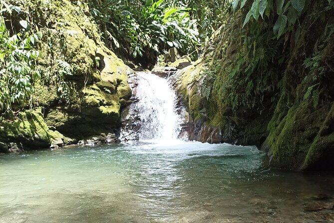 private-full-day-mindo-tour-with-pickup