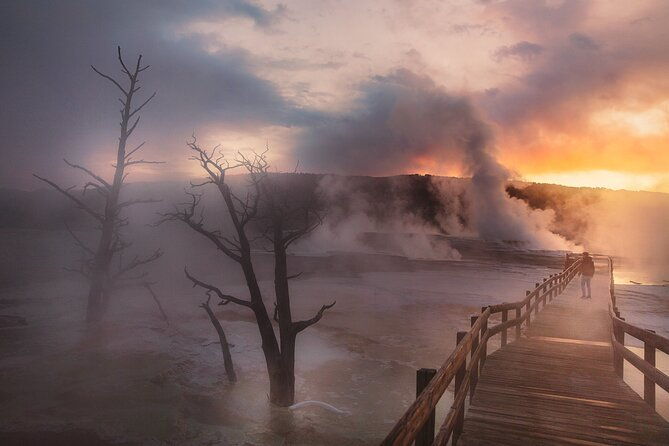 private-full-day-yellowstone-national-park-tour