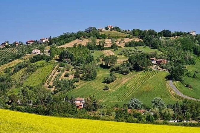 private-guided-e-bike-tour-in-bertinoro