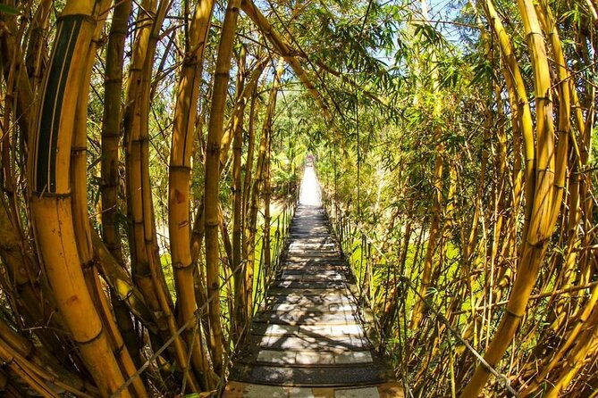 private-guided-gumbalimba-park-tour-from-roatan