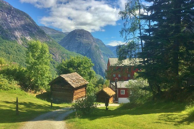 private-guided-tour-highlights-of-norway-trip-to-the-sognefjord-summer