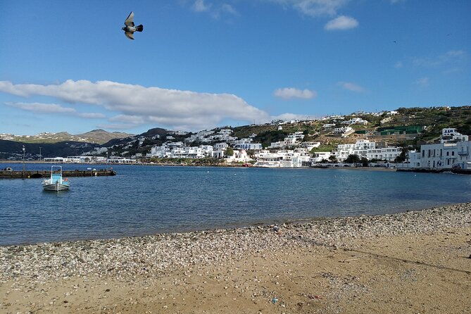 private-guided-walking-tour-in-mykonos-town