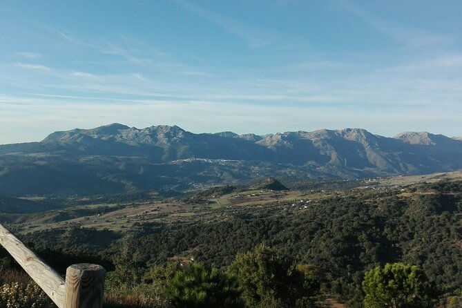 private-half-day-tour-of-ronda-and-the-white-villages-with-native