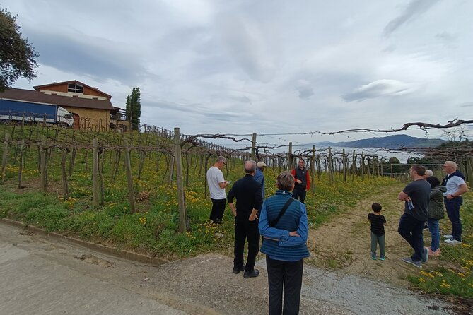 private-half-day-txakoli-wine-tour-getaria-fishing-village