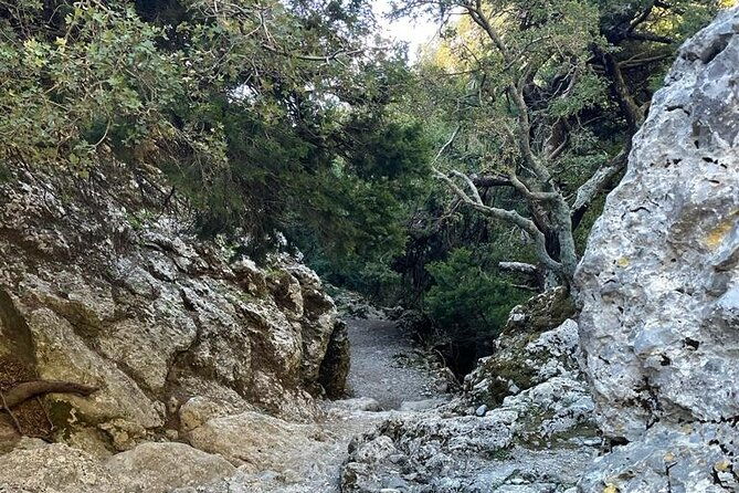 private-hiking-tour-in-imbros-gorge-chania