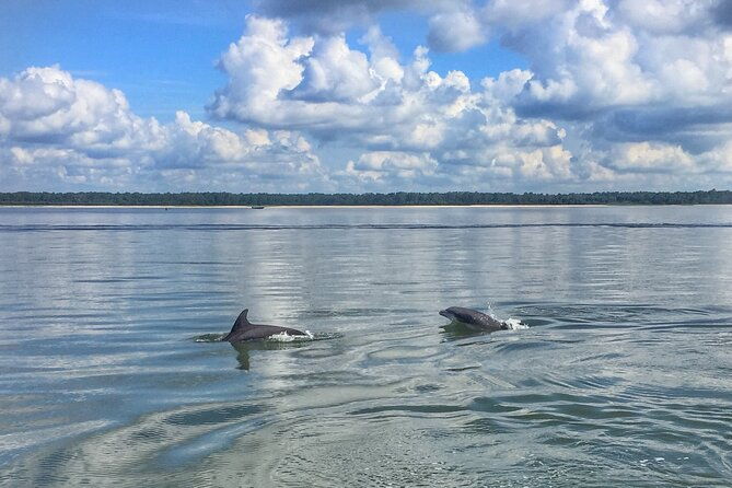 private-hilton-head-dolphin-tour