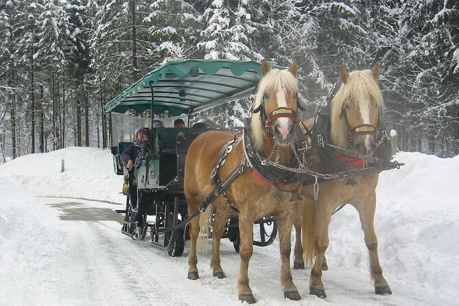 private-horse-drawn-sleigh-ride-from-salzburg