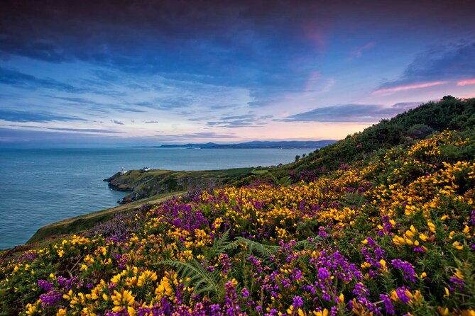 private-howth-coastal-walk