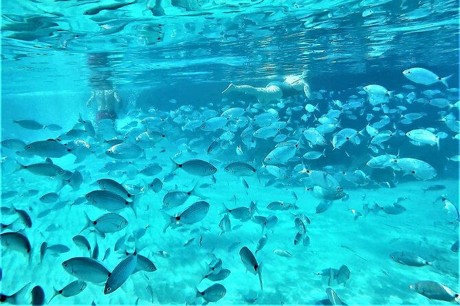 private-hydro-jet-snorkeling-beach-and-cave-cruise-tour