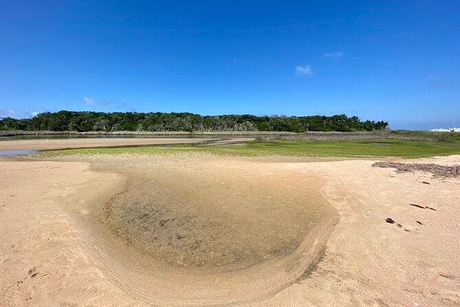 private-island-eco-tours-on-a-private-boat-from-shackleford-banks