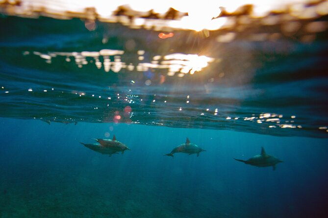 private-japan-photo-tour
