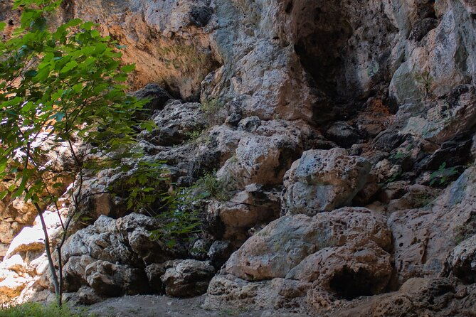 private-korcula-eco-tour-with-guide