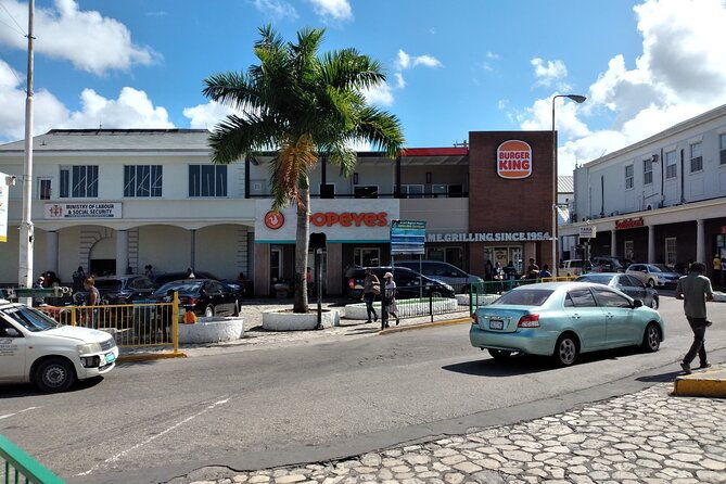 private-montego-bay-city-highlights-tour-2