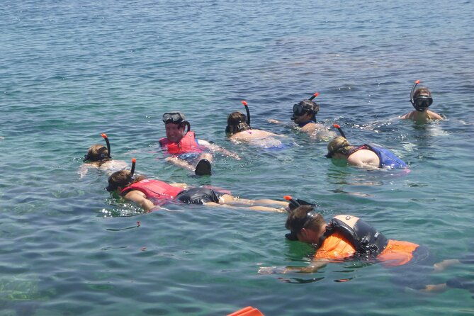 private-mykonos-nature-tour-by-minibus-2