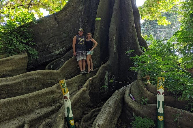 private-ocho-rios-highlight-tour