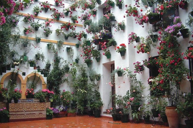 private-old-cordoba-walking-tour-and-mosque-cathedral