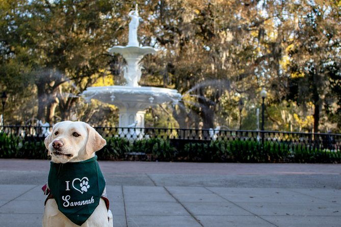 private-photoshoot-in-savannah-ga-2
