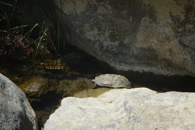 private-river-trekking-and-gorge-walking-adventure-in-crete