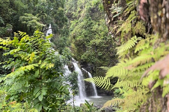 private-road-to-hana-maui-open-air-jeep-tour