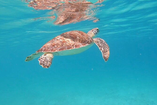 private-sailing-snorkeling-tour-with-bar-food-in-fajardo-pr