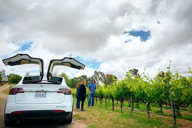 private-santa-barbara-winery-and-estate-tour-in-tesla-suv
