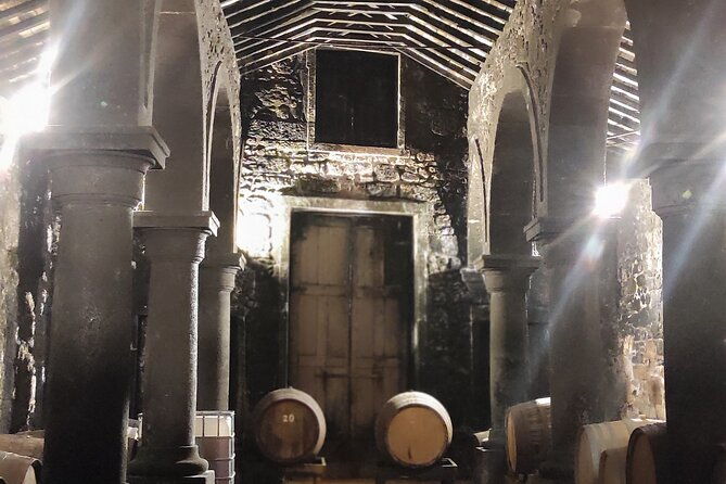 private-shore-tour-galicia-south-atlantic-coast-portugal-wine