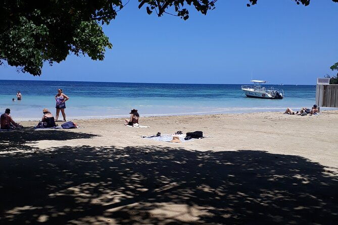 private-sightseeing-tour-in-ocho-rios
