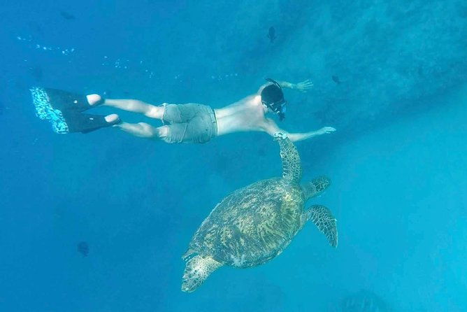 private-snorkeling-and-wildlife-on-the-adventure-boat