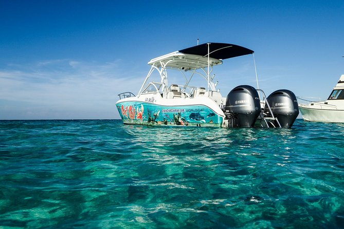 private-stingray-city-and-snorkeling-half-day-charter-for-6-guest