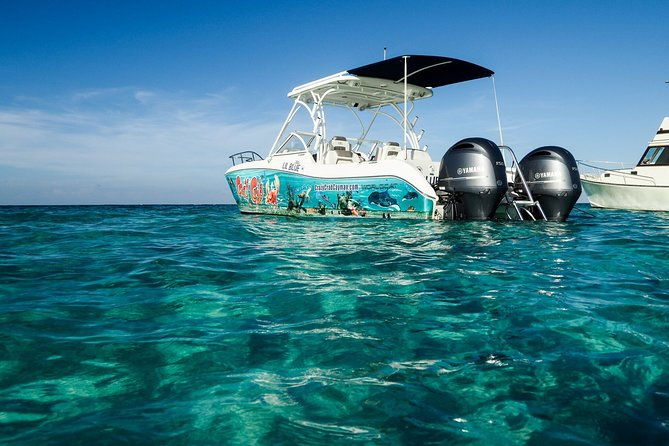 private-stingray-city-snorkeling-and-biobay-charter-for-6-guests