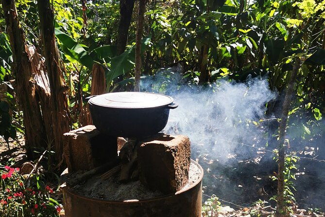 private-tour-cocoa-coffee-local-market-and-cigars-factory