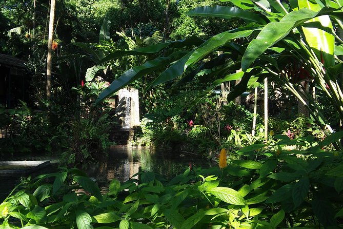 private-tour-from-ocho-rios-to-konoko-falls-and-garden-and-shopping