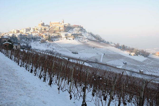 private-tour-from-turin-full-day-langhe-region-with-its-colors-and-flavors