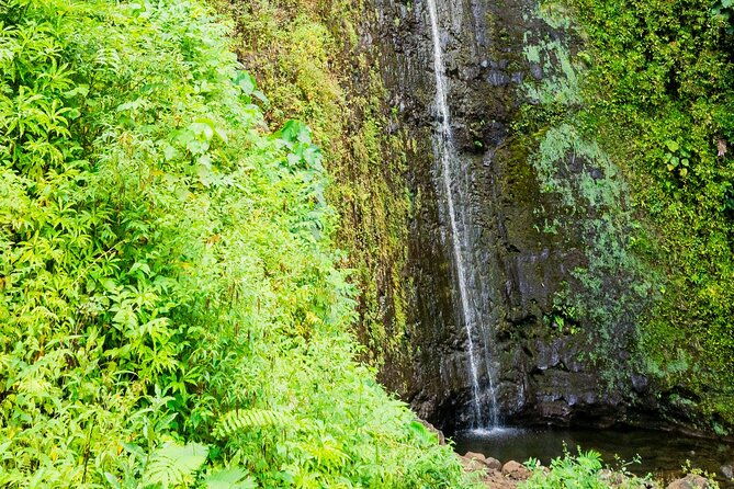 private-tour-hike-diamond-head-hawaiian-waterfall
