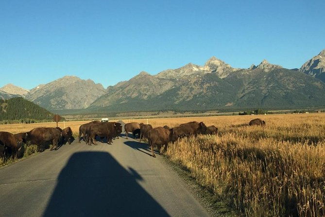private-tour-of-grand-teton-national-park