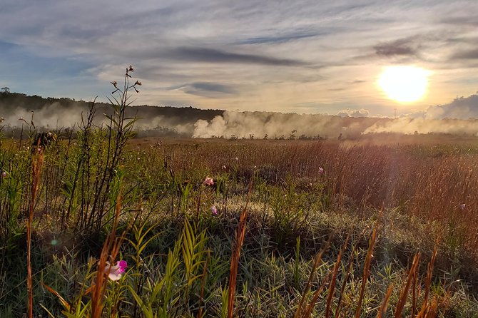 private-tour-of-hawaii-volcanoes-national-park-2