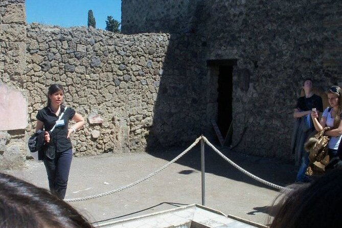 private-tour-of-the-pompeii-excavations