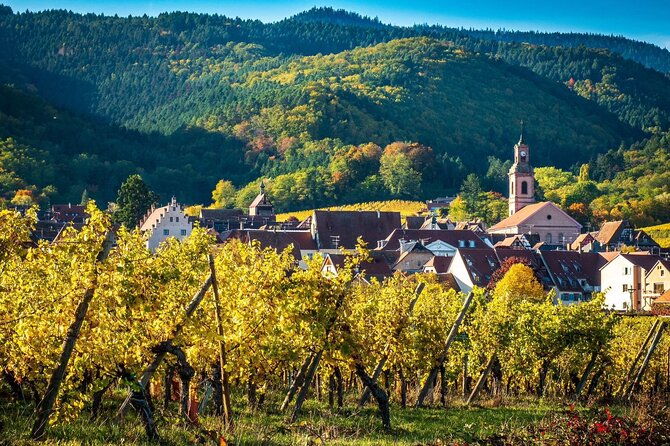 private-tour-picturesque-alsatian-villages-wine-tasting-with-a-local-expert