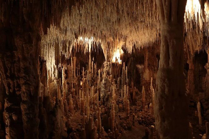 private-tour-prehistoric-cave-and-castle-by-exploreo-sarlat