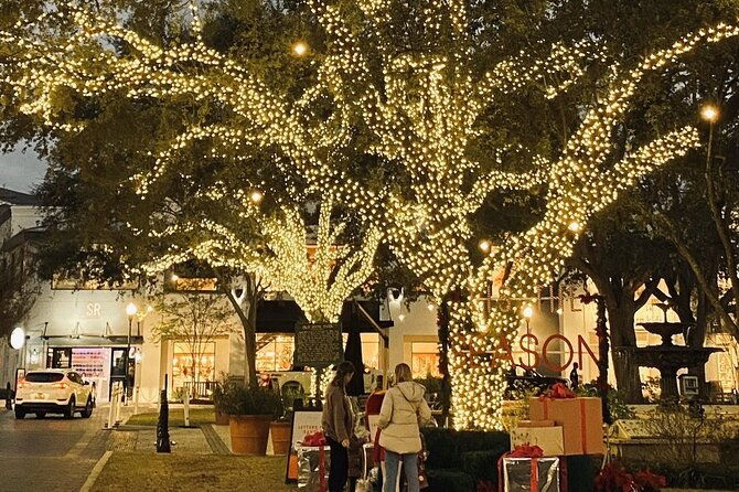 private-tour-to-christmas-winter-village-bayshore-and-hyde-park