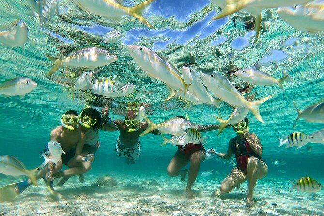 private-tour-to-paradise-island-with-snorkel-manatee-sanctuary