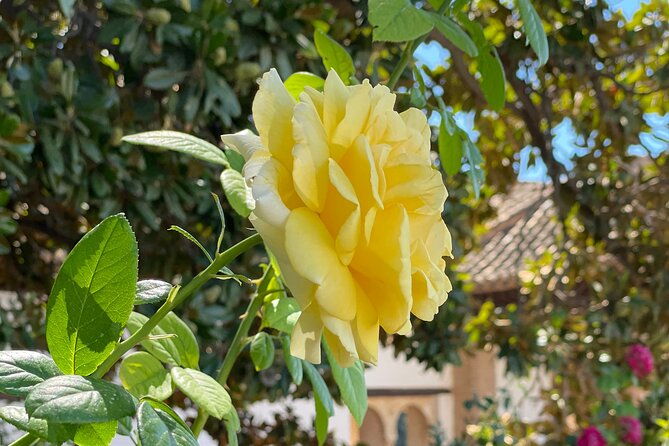 private-tour-to-the-alhambra-and-generalife-from-motril-port-2